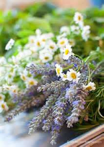Dried Chamomile Flowers for Soap Making